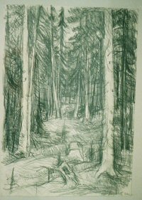 Wald, 1998