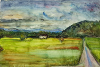 Weites Feld, 2015