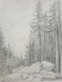 Steinhaufen, 2014