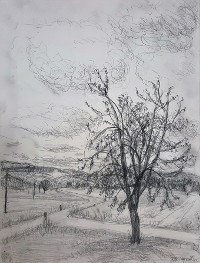 Straße nach Purgstall, 2015