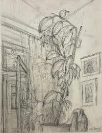 Interieur mit Zimmerpflanze, 2015