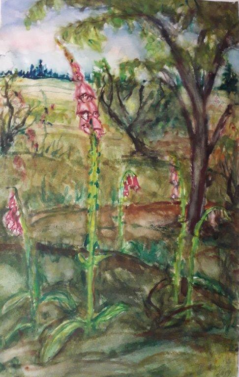 Digitalis, 2019