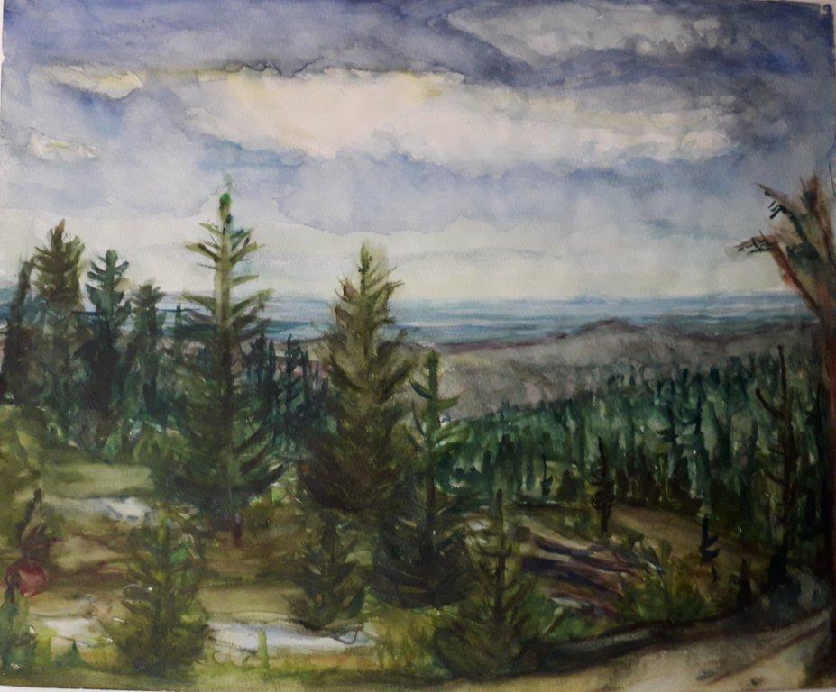 Fernblick, 2017